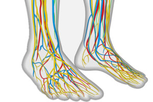 l’intorpidimento dei piedi1